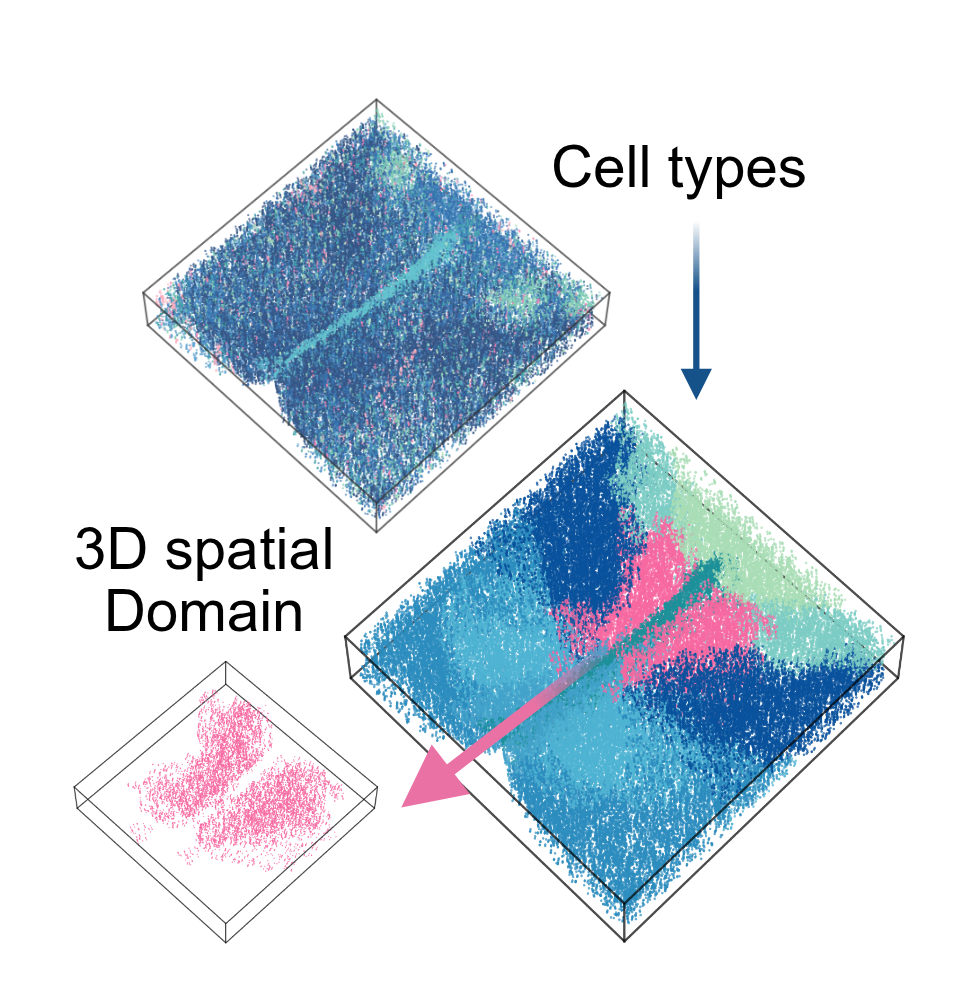 3D Spatial Domain
