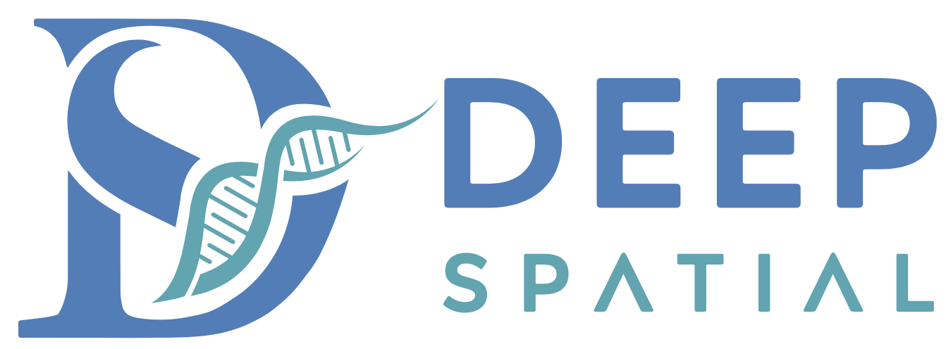 DeepSpatial Logo