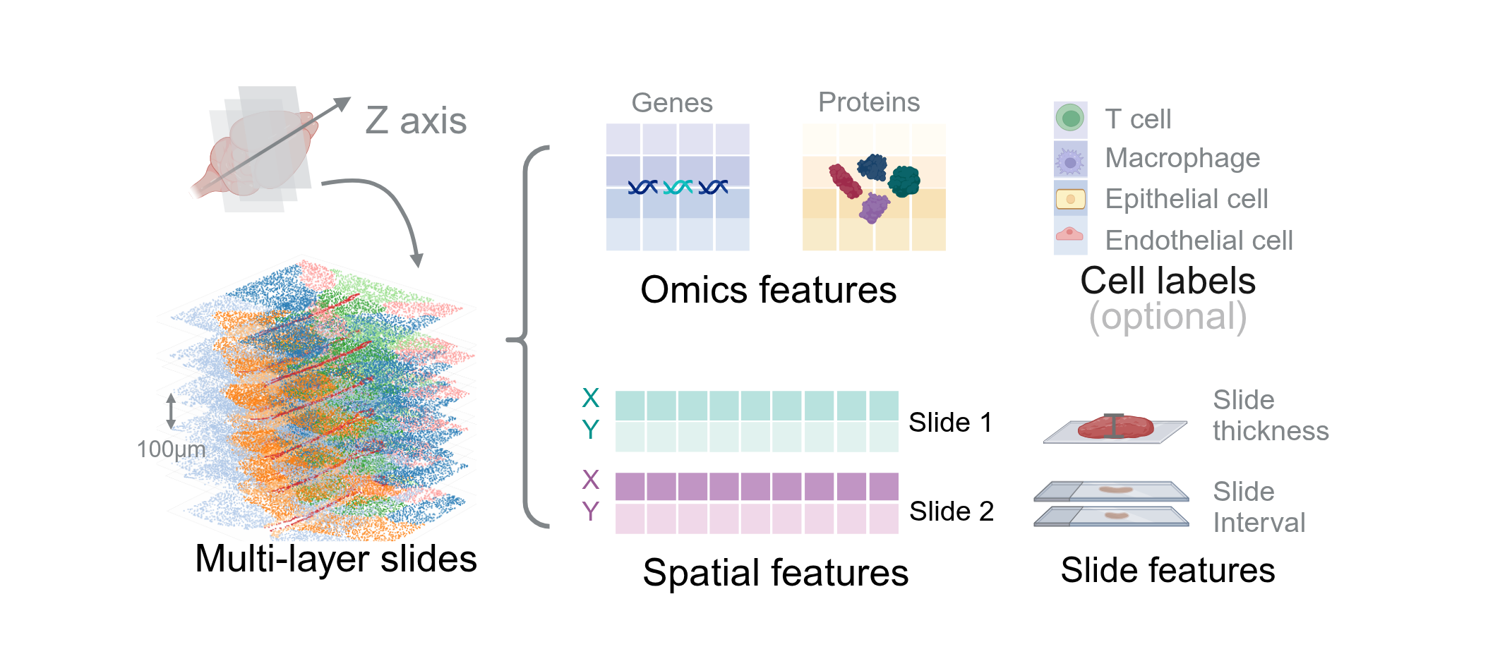 Input Slides